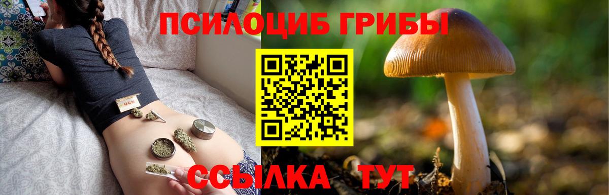 Галлюциногенные грибы Psilocybe  Вход с VPN  Десногорск 